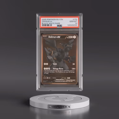2025 Pokémon Blk EN-Black Bolt #172 Zekrom EX - Holo Black White Rare (PSA 10 GEM MINT)