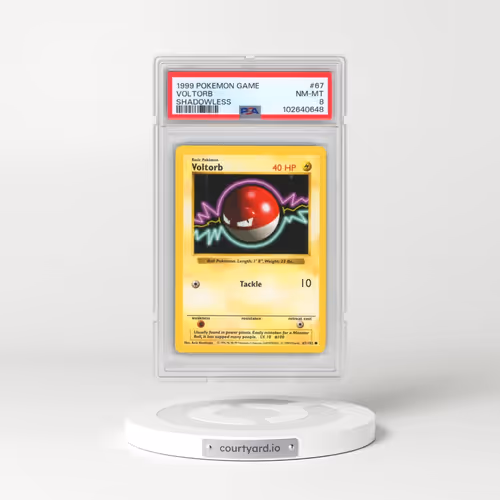 1999 Pokémon Game #67 Voltorb - Shadowless (PSA 8 NM-MT)