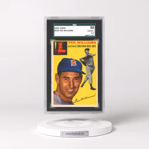 1954 Topps #250 Ted Williams (SGC 4.5 VG-EX+)