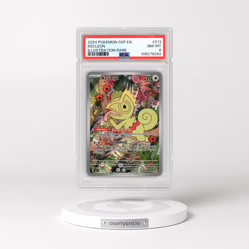 2024 Pokémon Ssp EN-Surging Sparks #213 Kecleon - Illustration Rare (PSA 8 NM-MT)