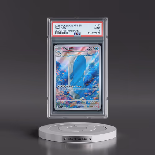 2025 Pokémon Jtg EN-Journey Together #162 Wailord - Illustration Rare (PSA 9 MINT)
