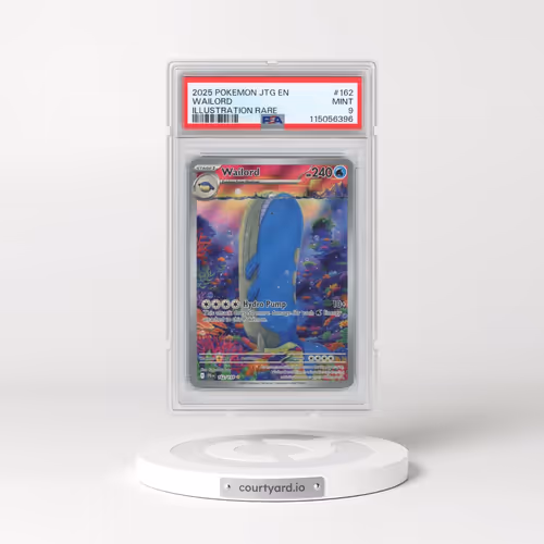 2025 Pokémon Jtg EN-Journey Together #162 Wailord - Illustration Rare (PSA 9 MINT)