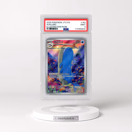 2025 Pokémon Jtg EN-Journey Together #162 Wailord - Illustration Rare (PSA 9 MINT)