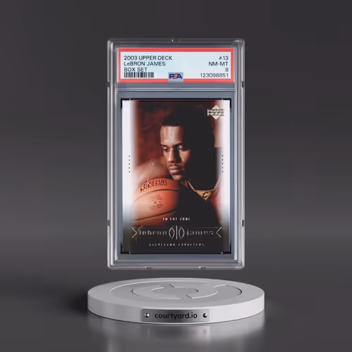 2003 Upper Deck Lebron James Box Set #13 LeBron James (PSA 8 NM-MT)
