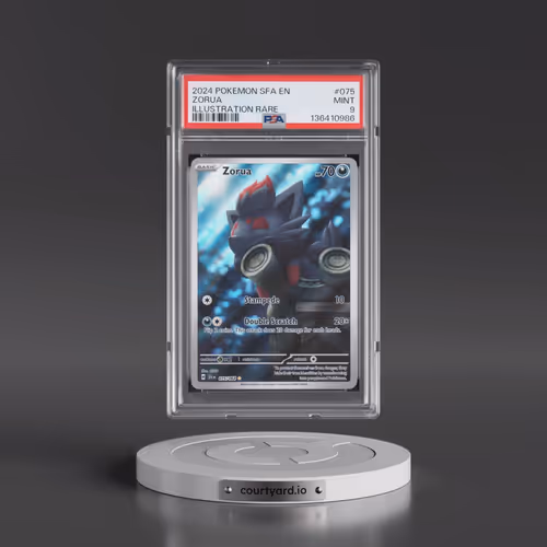2024 Pokémon Sfa EN-Shrouded Fable #075 Zorua - Illustration Rare (PSA 9 MINT)