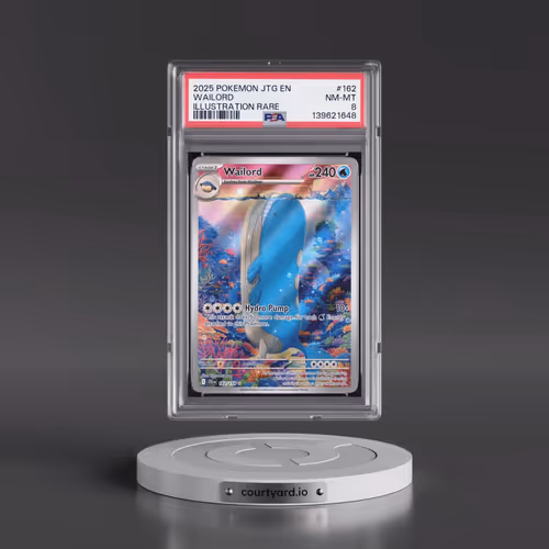 2025 Pokémon Jtg EN-Journey Together #162 Wailord - Illustration Rare (PSA 8 NM-MT)