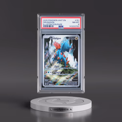 2025 Pokémon Wht EN-White Flare #151 Druddigon - Illustration Rare (PSA 8 NM-MT)