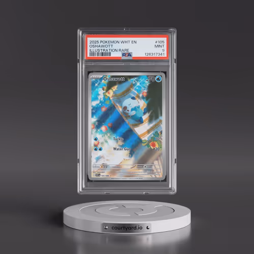 2025 Pokémon Wht EN-White Flare #105 Oshawott - Illustration Rare (PSA 9 MINT)