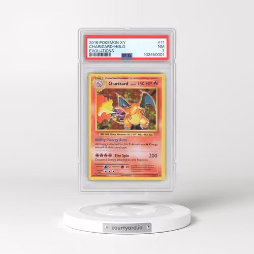 2016 Pokémon XY Evolutions #11 Charizard - Holo (PSA 7 NM)