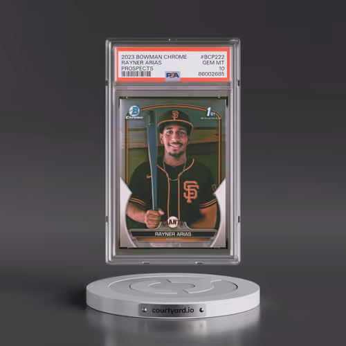 2023 Bowman Chrome Prospects #BCP222 Rayner Arias (PSA 10 GEM MINT)