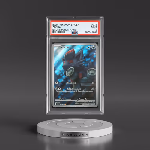 2024 Pokémon Sfa EN-Shrouded Fable #075 Zorua - Illustration Rare (PSA 9 MINT)