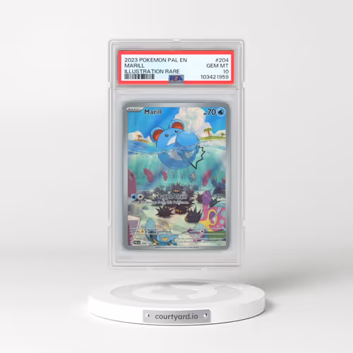 2023 Pokémon Pal EN-Paldea Evolved #204 Marill - Illustration Rare (PSA 10 GEM MINT)