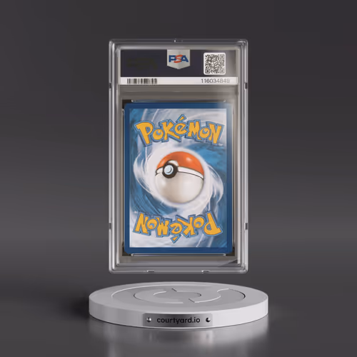 2023 Pokémon Par EN-Paradox Rift #205 Yveltal - Illustration Rare (PSA 9 MINT)