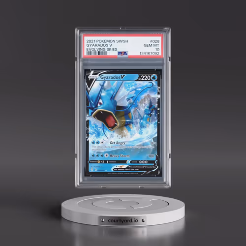 2021 Pokémon Sword & Shield Evolving Skies #028 Gyarados V - Holo (PSA 10 GEM MINT)