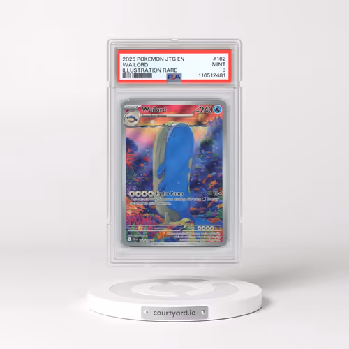 2025 Pokémon Jtg EN-Journey Together #162 Wailord - Illustration Rare (PSA 9 MINT)