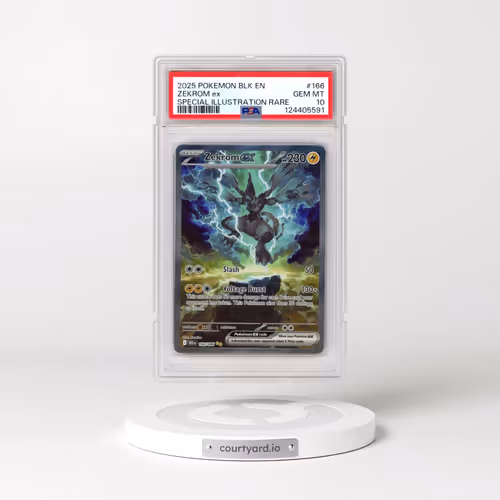 2025 Pokémon Blk EN-Black Bolt #166 Zekrom EX - Holo Special Illustration Rare (PSA 10 GEM MINT)
