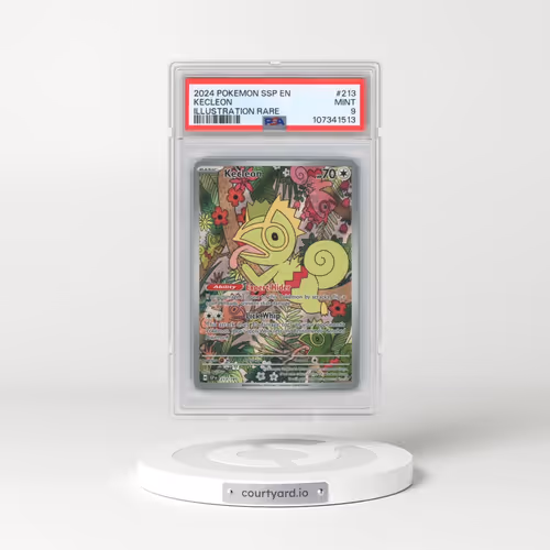 2024 Pokémon Ssp EN-Surging Sparks #213 Kecleon - Illustration Rare (PSA 9 MINT)