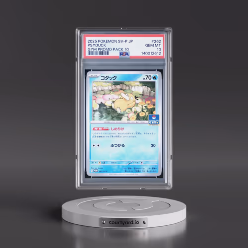 2025 Pokémon SV-P Promo #262 Psyduck - Gym Promo Pack 10 (PSA 10 GEM MINT)