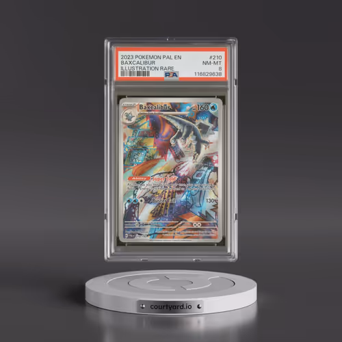 2023 Pokémon Pal EN-Paldea Evolved #210 Baxcalibur - Illustration Rare (PSA 8 NM-MT)