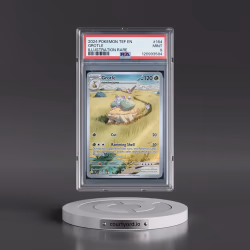 2024 Pokémon Tef EN-Temporal Forces #164 Grotle - Illustration Rare (PSA 9 MINT)