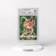 1995 Skybox Premium #278 Michael Jordan (BGS 8.5 NM-MT+)