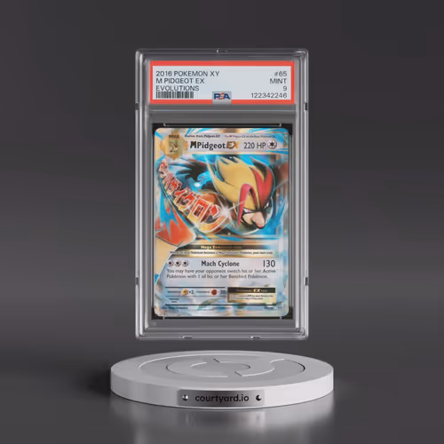 2016 Pokémon XY Evolutions #65 M Pidgeot EX - Holo (PSA 9 MINT)