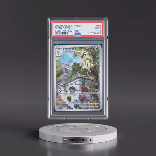 2023 Pokémon Pal EN-Paldea Evolved #197 Floragato - Illustration Rare (PSA 9 MINT)