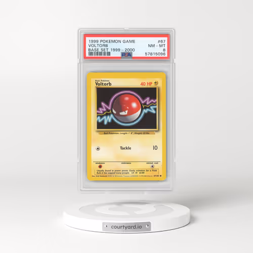 1999 Base Set #67 Voltorb (PSA 8 NM-MT)