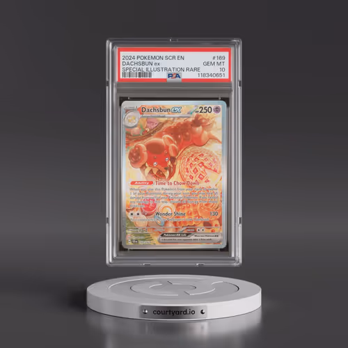 2024 Pokémon Scr EN-Stellar Crown #169 Dachsbun EX - Holo Special Illustration Rare (PSA 10 GEM MINT
