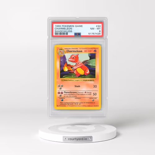 1999 Pokémon Game #24 Charmeleon - Shadowless (PSA 8 NM-MT)