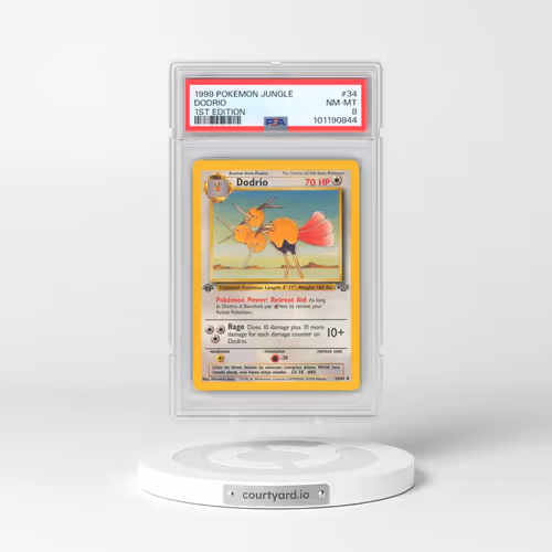 1999 Pokémon Jungle #34 Dodrio - 1st Edition (PSA 8 NM-MT)