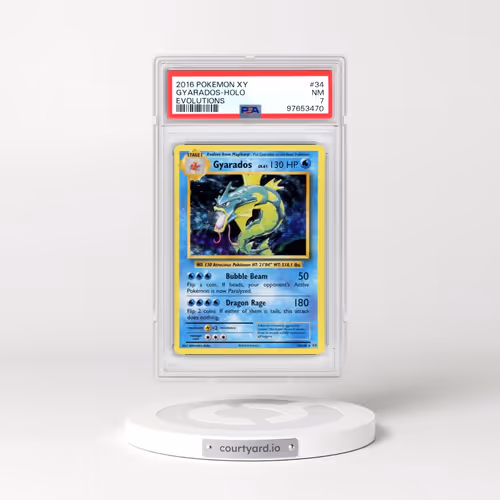 2016 Pokémon XY Evolutions #34 Gyarados - Holo (PSA 7 NM)