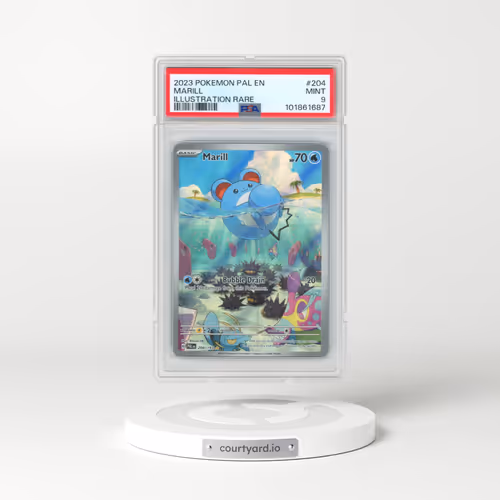 2023 Pokémon Pal EN-Paldea Evolved #204 Marill - Illustration Rare (PSA 9 MINT)