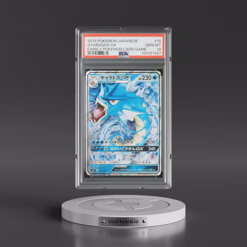2019 Pokémon Family Pokemon Card Game #15 Gyarados GX - Holo (PSA 10 GEM MINT)