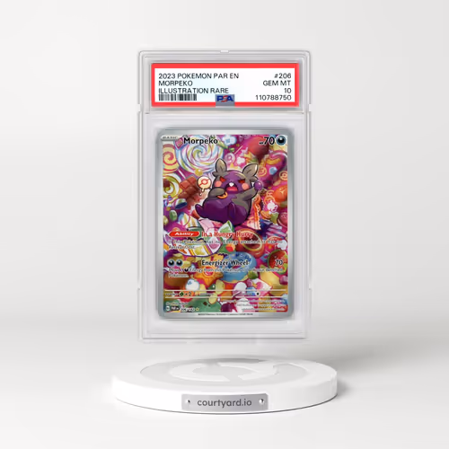 2023 Pokémon Par EN-Paradox Rift #206 Morpeko - Illustration Rare (PSA 10 GEM MINT)