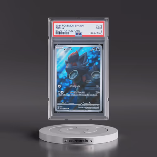 2024 Pokémon Sfa EN-Shrouded Fable #075 Zorua - Illustration Rare (PSA 9 MINT)