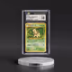 1999 Neo Premium File Bayleef - No Rarity (CGC 10 GEM MINT)