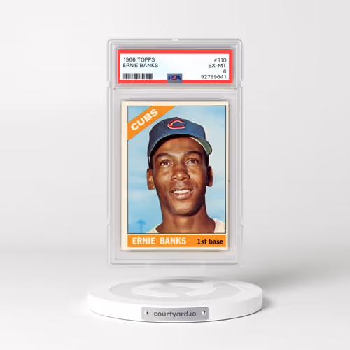 1966 Topps #110 Ernie Banks (PSA 6 EX-MT)