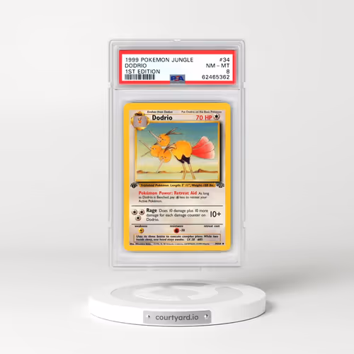 1999 Pokémon Jungle #34 Dodrio - 1st Edition (PSA 8 NM-MT)