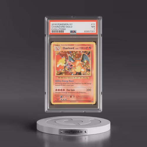 2016 Pokémon XY Evolutions #11 Charizard - Holo (PSA 7 NM)
