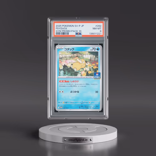 2025 Pokémon SV-P Promo #262 Psyduck - Gym Promo Pack 10 (PSA 8 NM-MT)