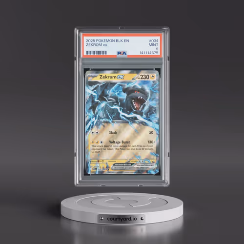 2025 Pokémon Blk EN-Black Bolt #034 Zekrom EX - Holo (PSA 9 MINT)