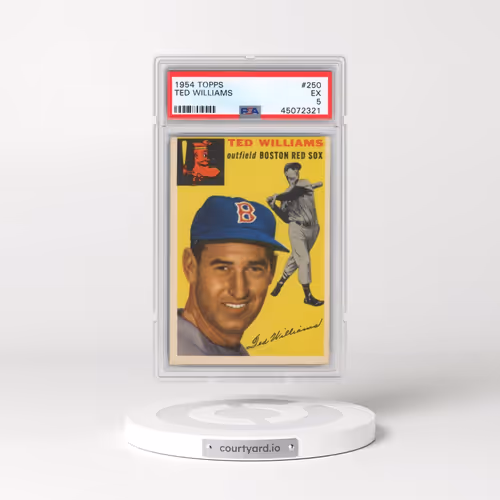 1954 Topps #250 Ted Williams (PSA 5 EX)