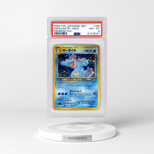 2000 Pokémon Neo #160 Feraligatr - Holo Premium File (PSA 8 NM-MT)
