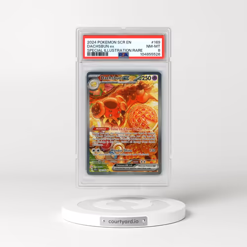 2024 Pokémon Scr EN-Stellar Crown #169 Dachsbun EX - Holo Special Illustration Rare (PSA 8 NM-MT)