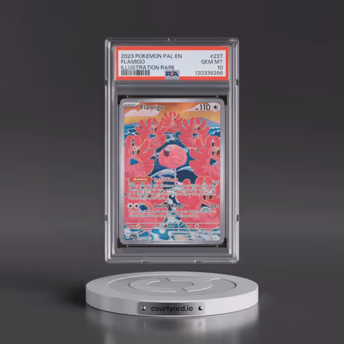 2023 Pokémon Pal EN-Paldea Evolved #227 Flamigo - Illustration Rare (PSA 10 GEM MINT)