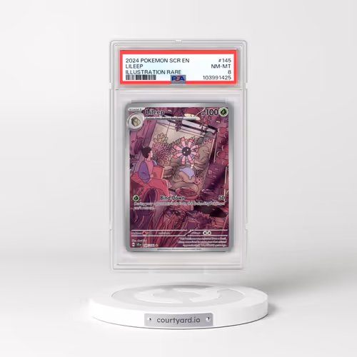 2024 Pokémon Scr EN-Stellar Crown #145 Lileep - Illustration Rare (PSA 8 NM-MT)