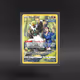 Silver Tempest Trainer Gallery #TG08/TG30 Passimian