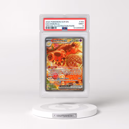 2024 Pokémon Scr EN-Stellar Crown #169 Dachsbun EX - Holo Special Illustration Rare (PSA 9 MINT)