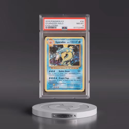 2016 Pokémon XY Evolutions #34 Gyarados - Holo (PSA 8 NM-MT)